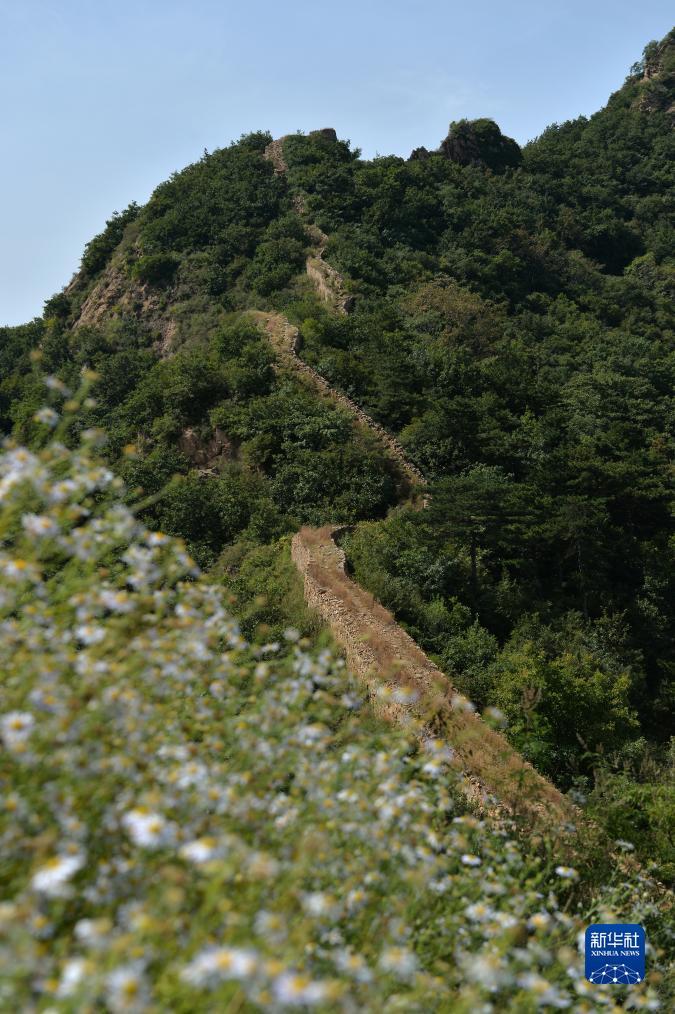 注册就送可提现