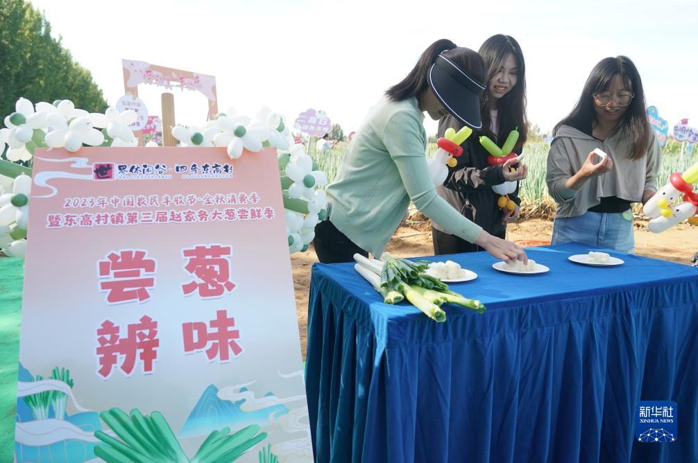 永利现金玩法